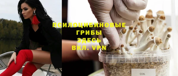 бутират Алзамай