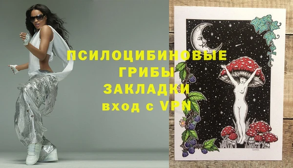ГАЛЛЮЦИНОГЕННЫЕ ГРИБЫ Осинники
