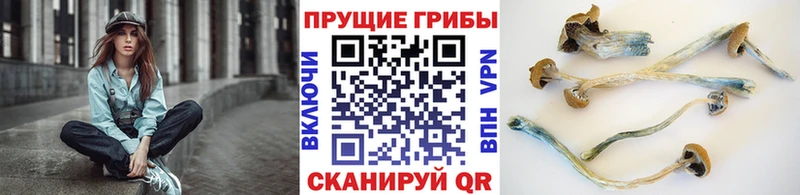Галлюциногенные грибы ЛСД  ОМГ ОМГ онион  Звенигово 